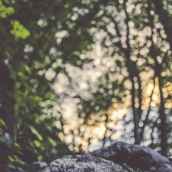 Kakao Tozu %22-24 Yağlı 1kg