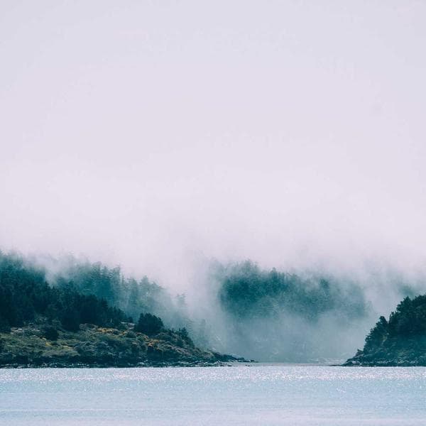 Sizin Kanola Yağı 5L