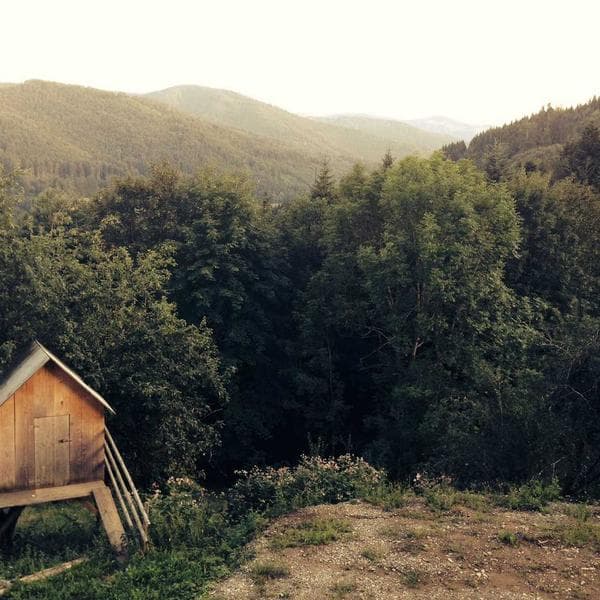 Sizin Mısır Yağı 5L