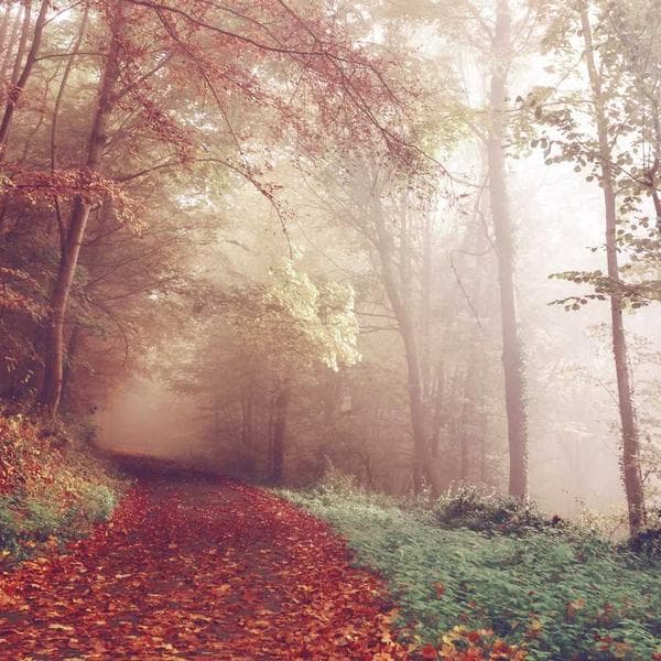 Sütlü Kuvertür %33 2.5kg